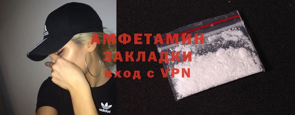 мдпв Дмитриев