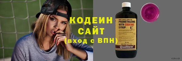 мдпв Дмитриев