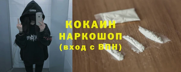 мдпв Дмитриев
