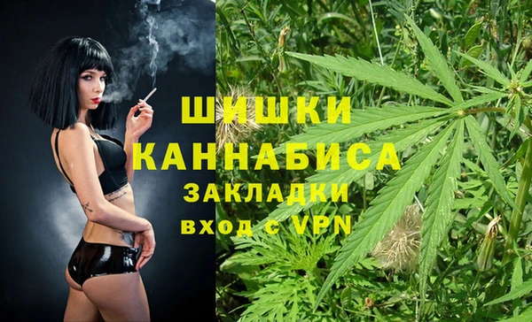 мдпв Дмитриев