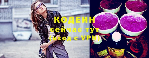 мдпв Дмитриев