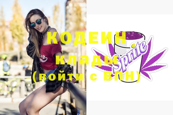 мдпв Дмитриев
