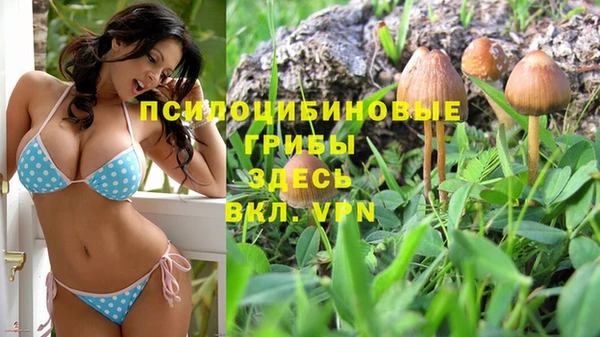 мдпв Дмитриев